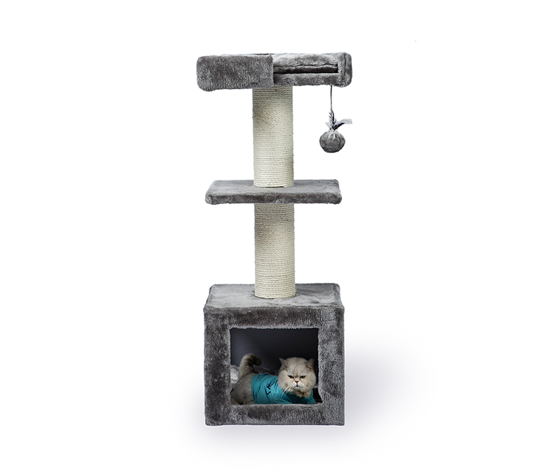 Árboles pequeños para gatos